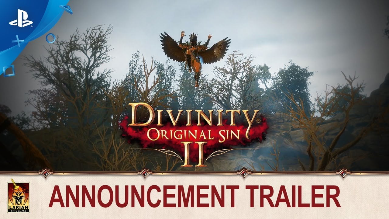 Divinity: Original Sin 2